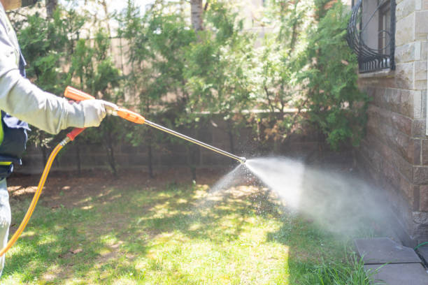 Best Mosquito Control  in Granite Hills, CA